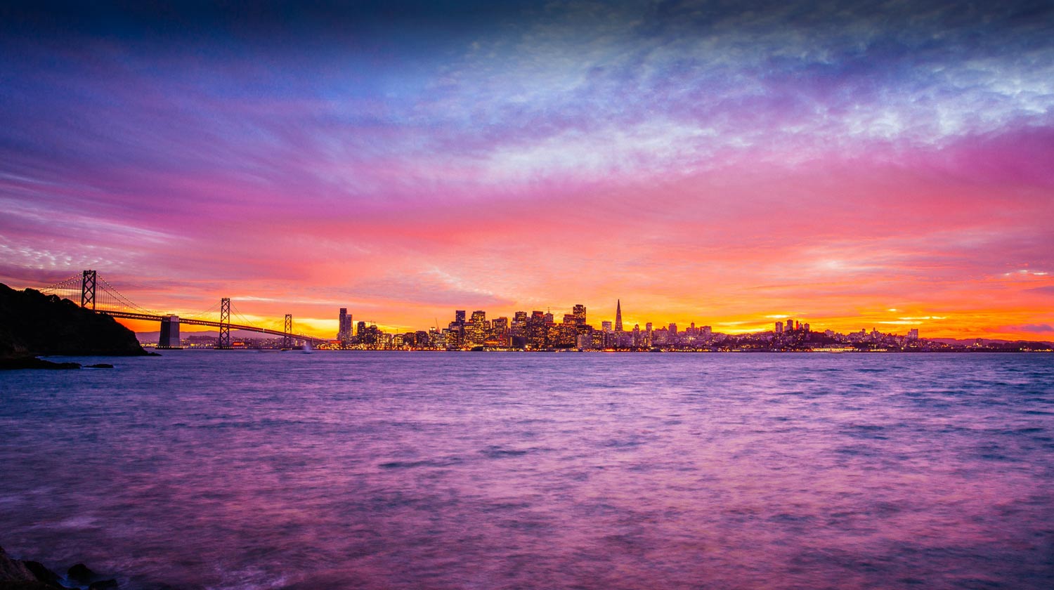purple and gold SF